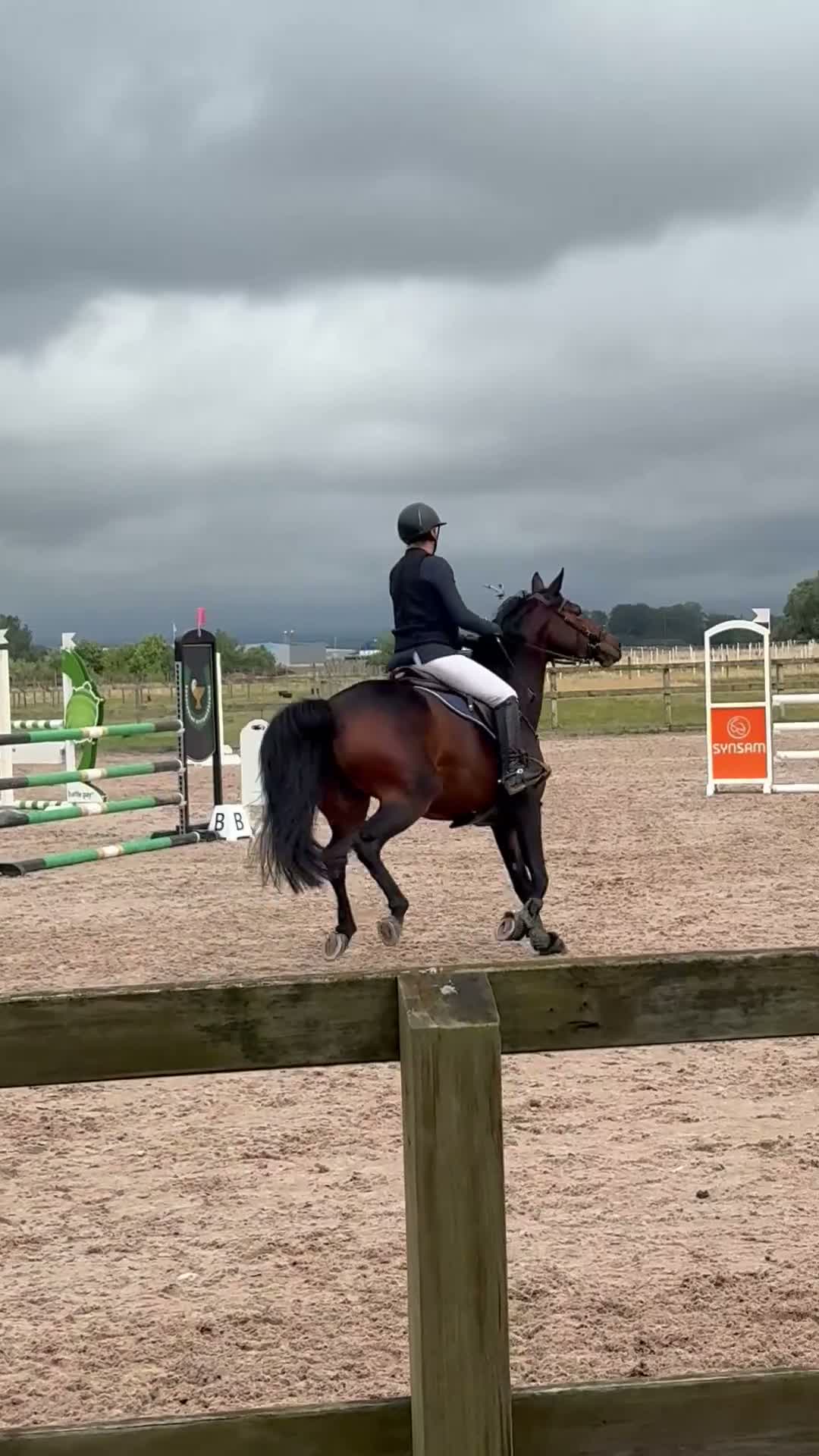 Hoppning hästar till salu: Fräck litet SWB sto i Löberöd - Video 1