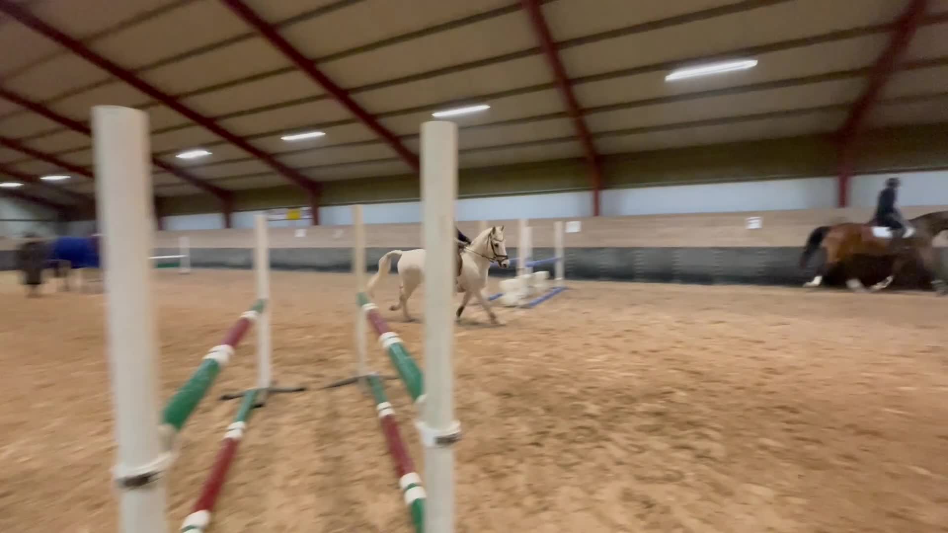 Fälttävlan hästar till salu: Rolig allroundponny - Video 4