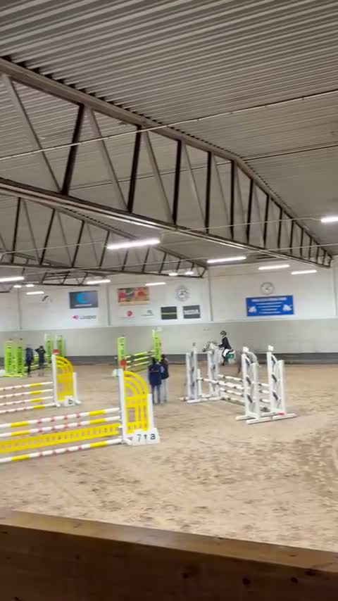 Hoppning hästar till salu: Rosettplockande läromästare kat B  - Video 1