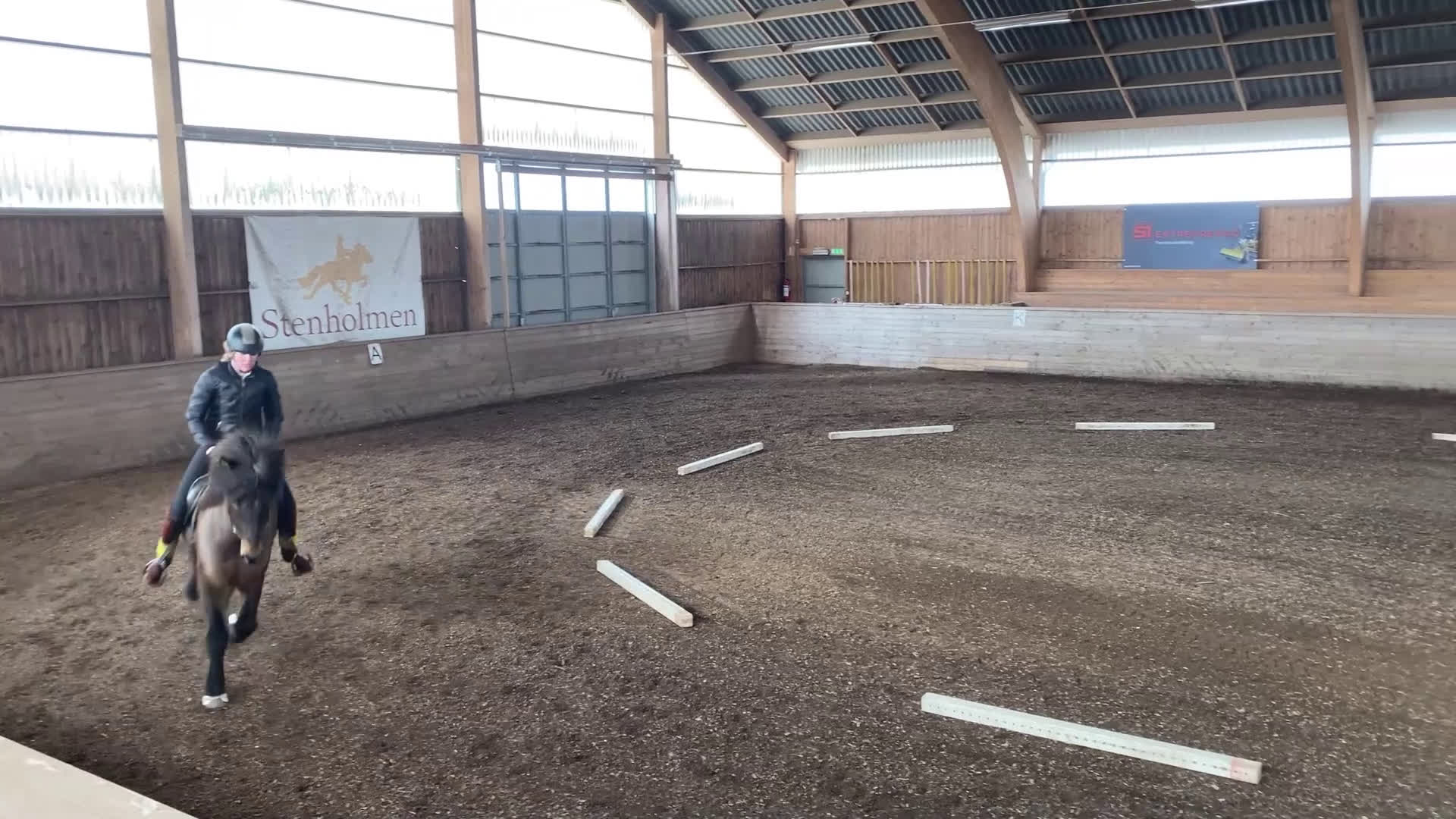 Island hästar till salu: Projekthäst - Video 2