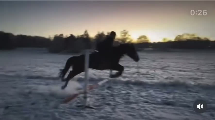 Allround hästar till salu: Bedårande ridtravare i Bro - Video 2