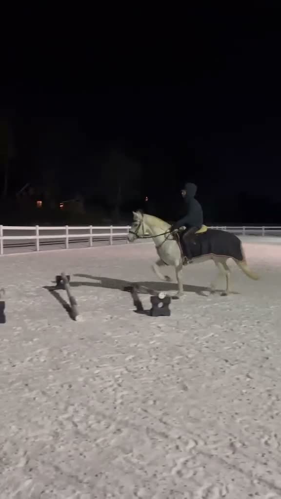 Allround hästar till salu: Förstaklass Connemara med fin stam - Video 5