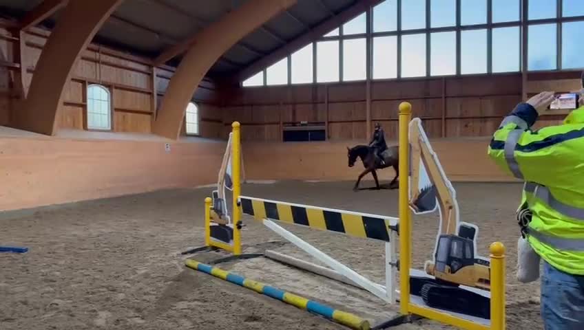 Hoppning hästar till salu: Ståtlig kille  - Video 1