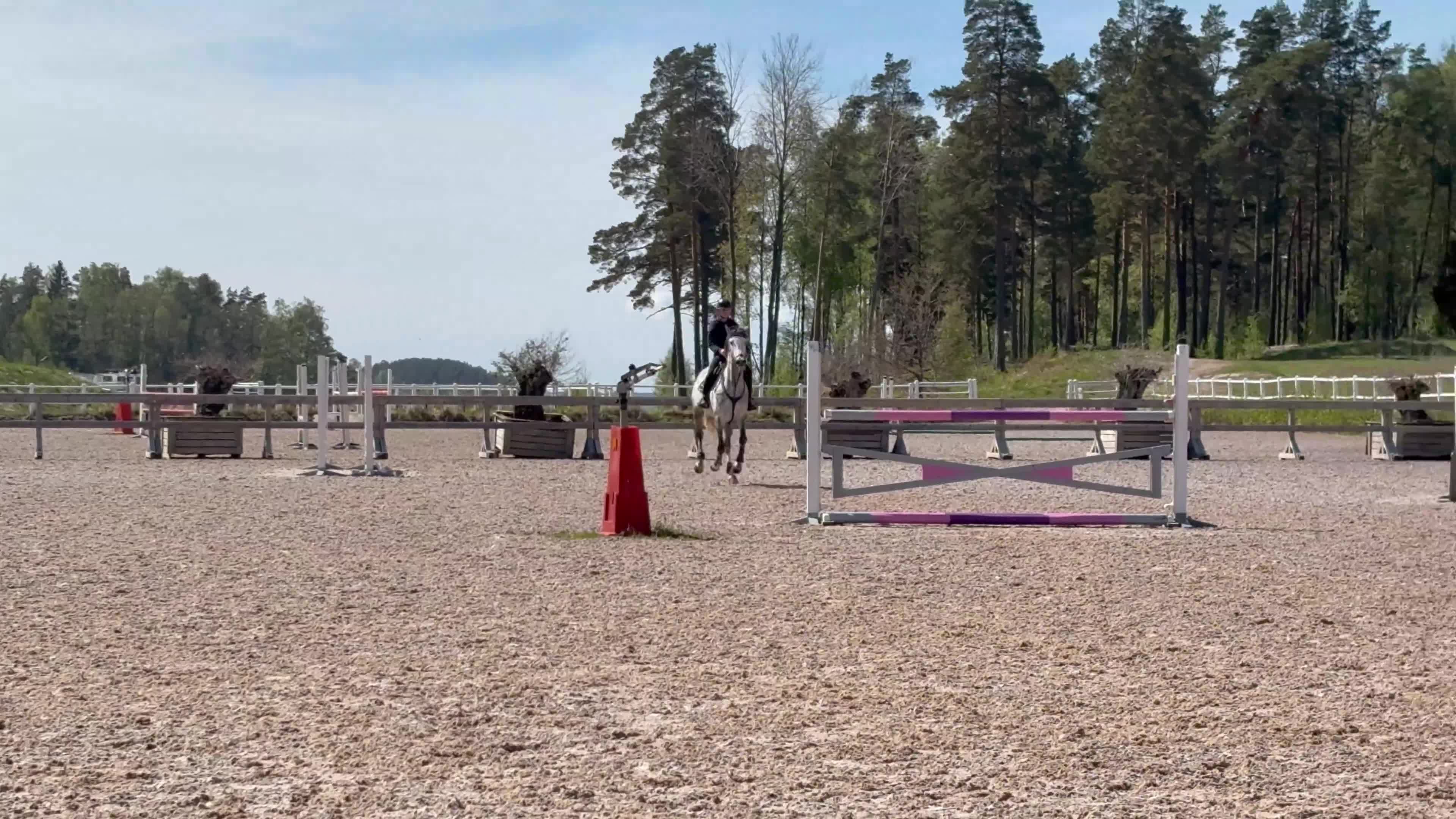 Hoppning hästar till salu: Sto som alltid ställer upp! - Video 2