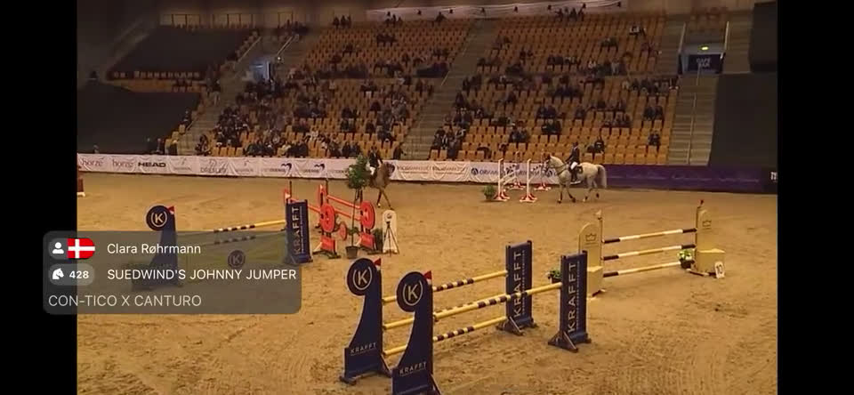Hoppning hästar till salu: Perfekt children, junior og amatør horse for sale i Hårlev - Video 2