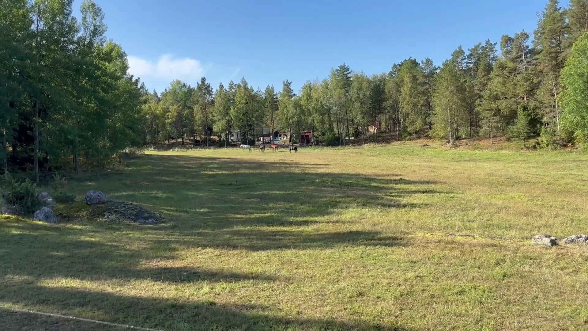  stallplats finnes: Stallplats med lång utevistelse i Värmdö - Video 1