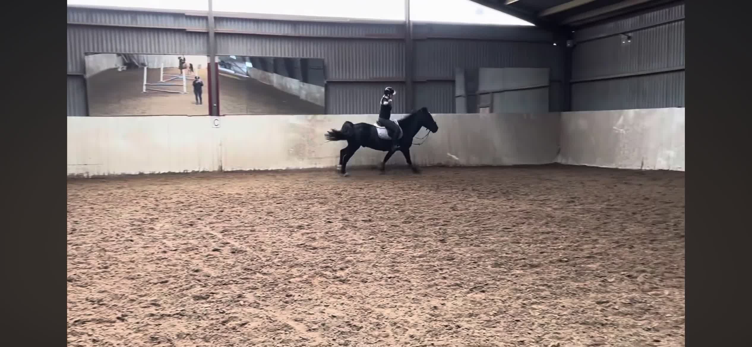 Allround hästar till salu: Skogsmulle till fyndpris ⭐️ i Ekeby - Video 4