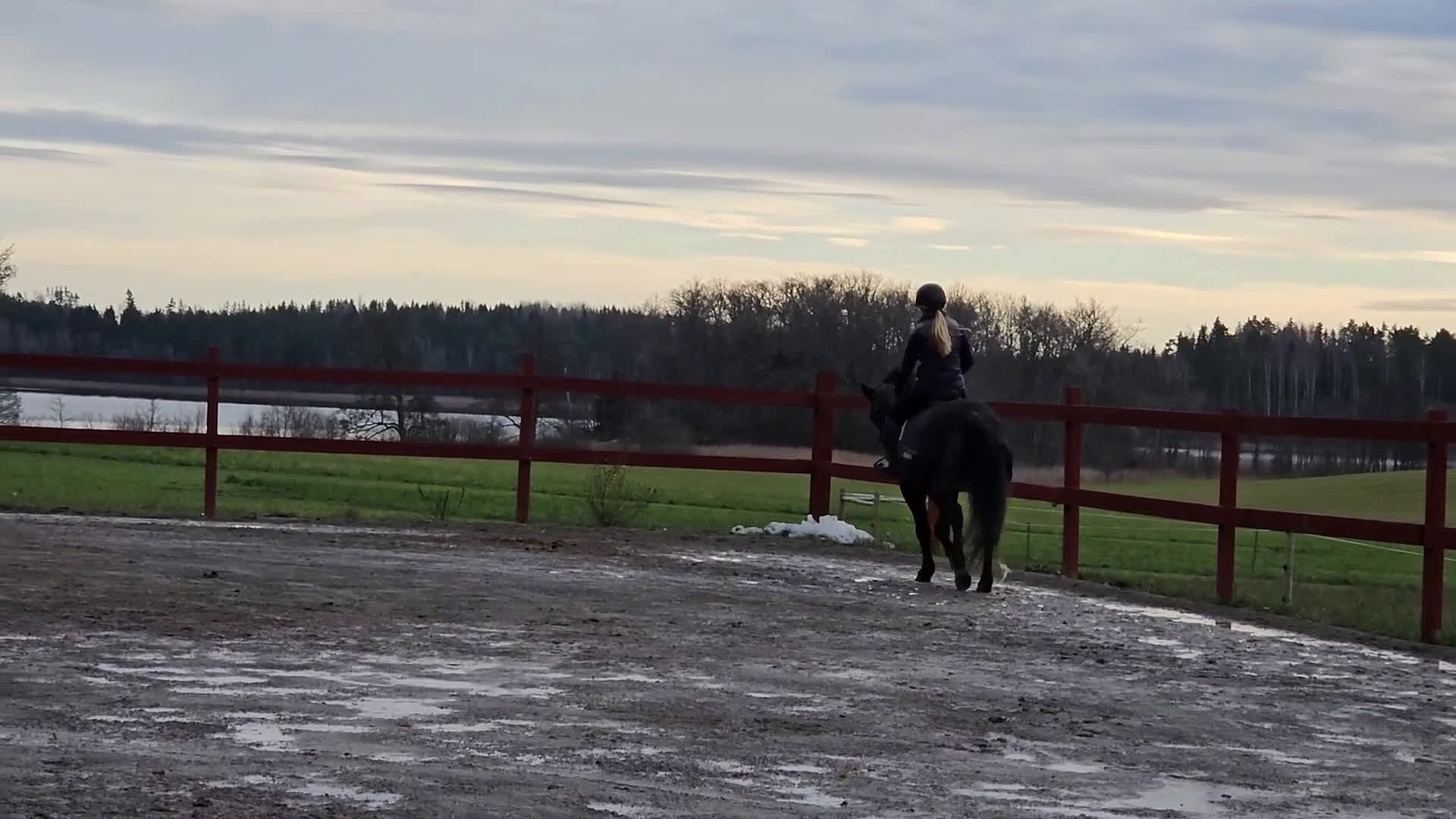 Allround hästar till salu: Härlig allroundponny i Sparreholm - Video 2