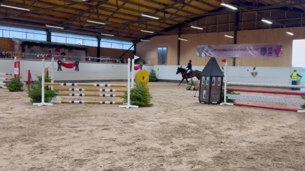 Allround hästar till salu: Fantastiskt sto till salu – dressyr och hoppning - Video 1