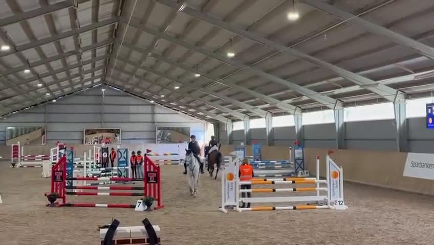 Hoppning hästar till salu: Lyxig hobbyhäst - Video 1