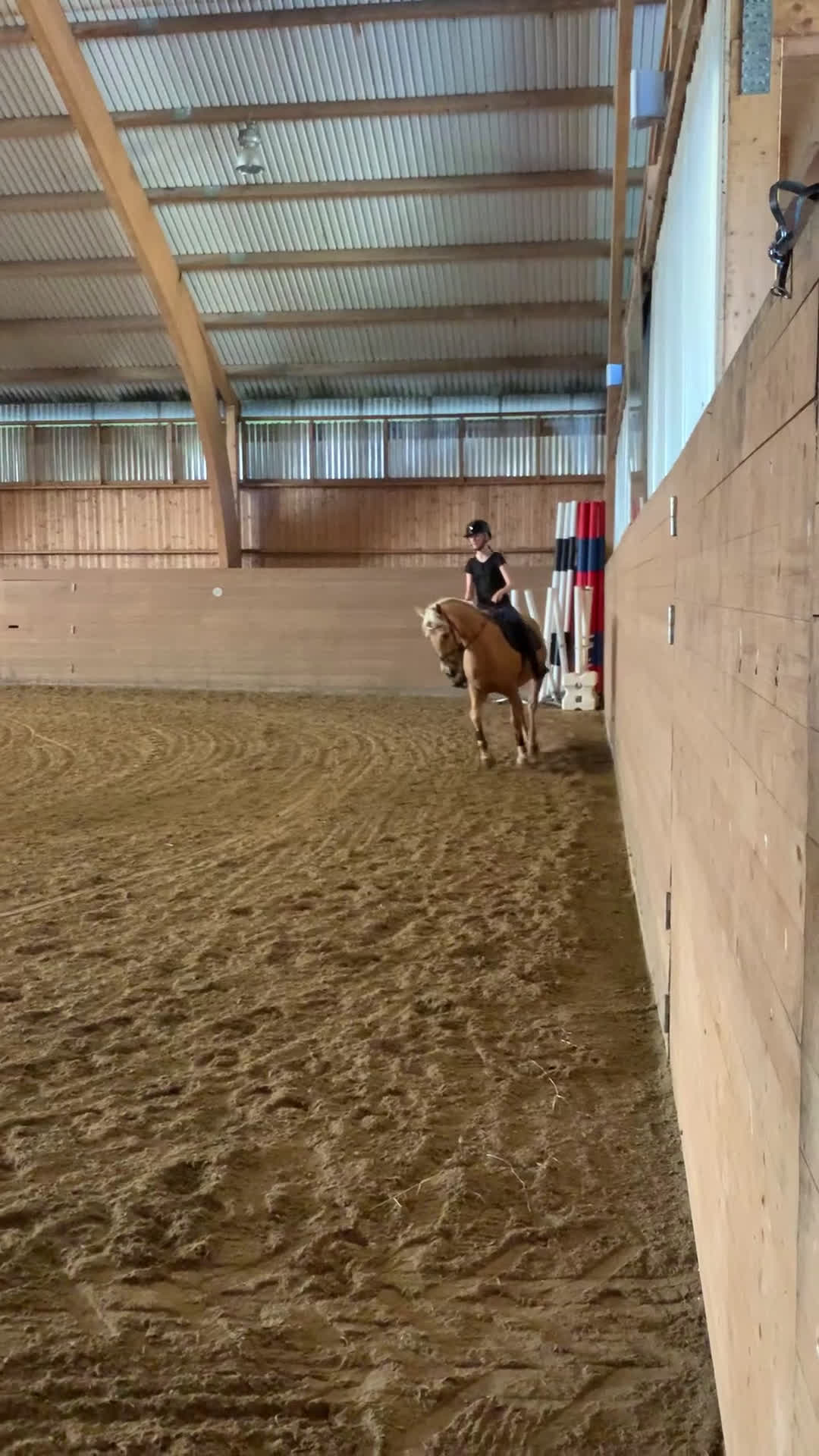 Allround hästar till salu: Gyllene Morganvalack i Vallda - Video 4