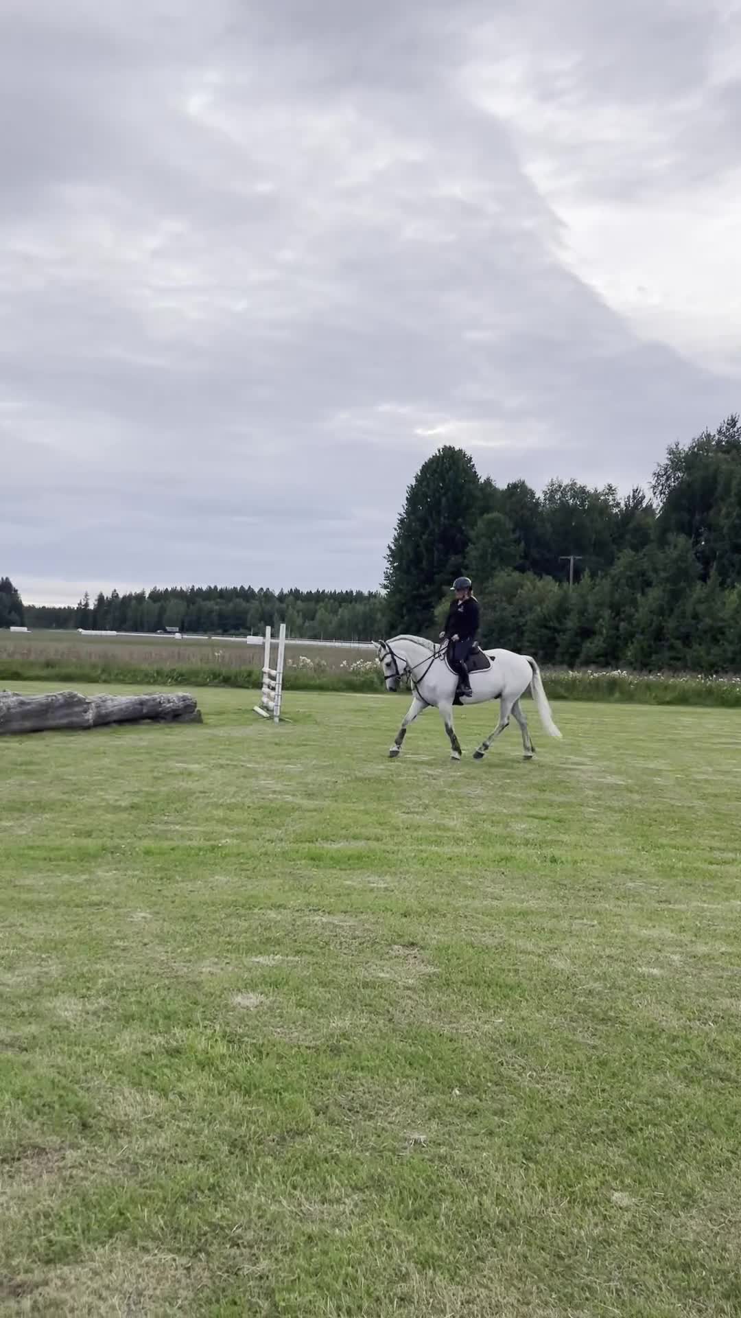 Allround hästar till salu: Hinderklok oslipad diamant 💎  i Luleå - Video 4