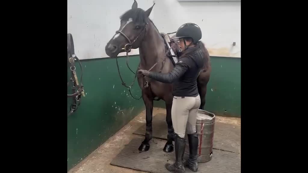 Hoppning hästar till salu: Ljuvlig C Ponny 🌸 - Video 1