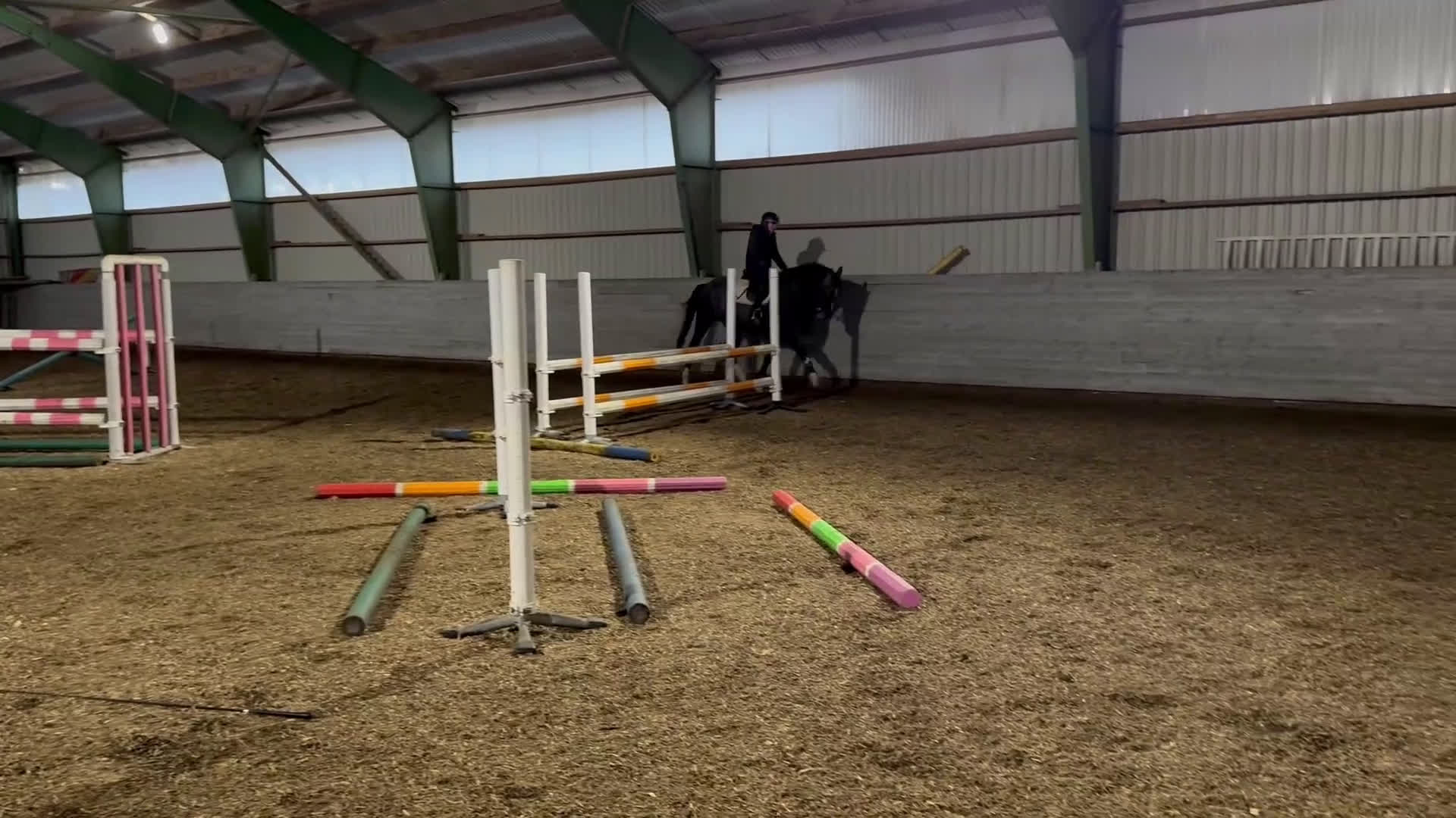 Allround hästar till salu: Valack med utstrålning!  i Hindås - Video 1