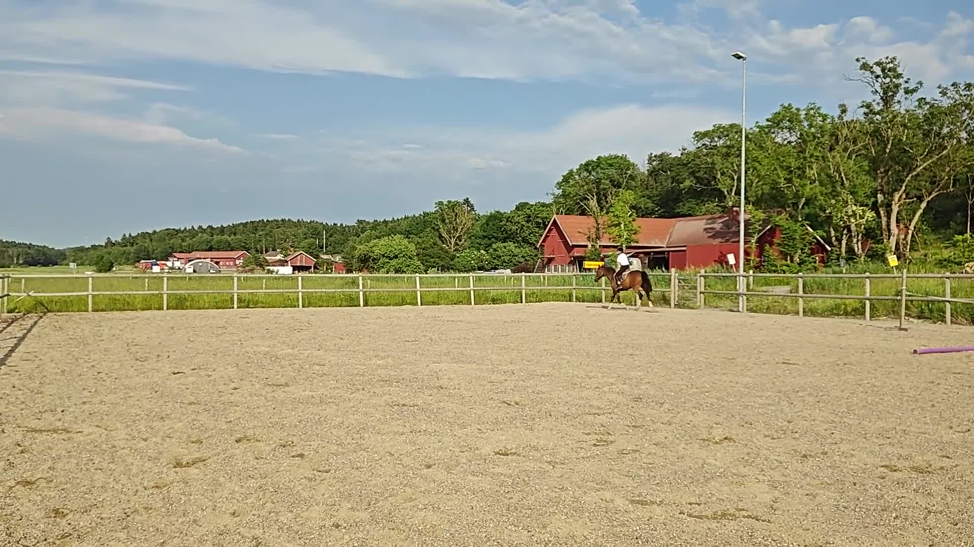 Allround hästar till salu: Mira  - Video 1