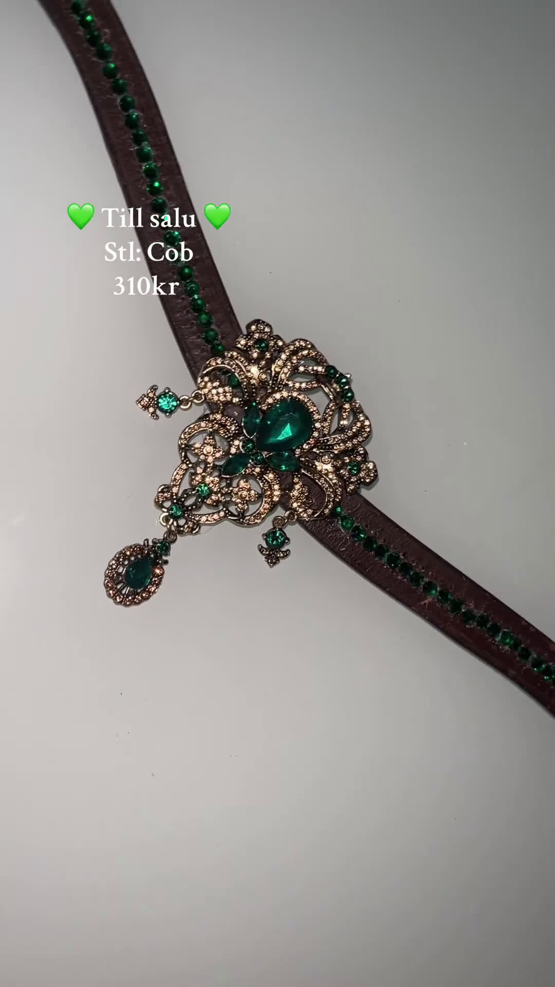 Övrig Hästutrustning hästutrustning till salu: Snygga Diego pannband  i Helsingborg - Video 1