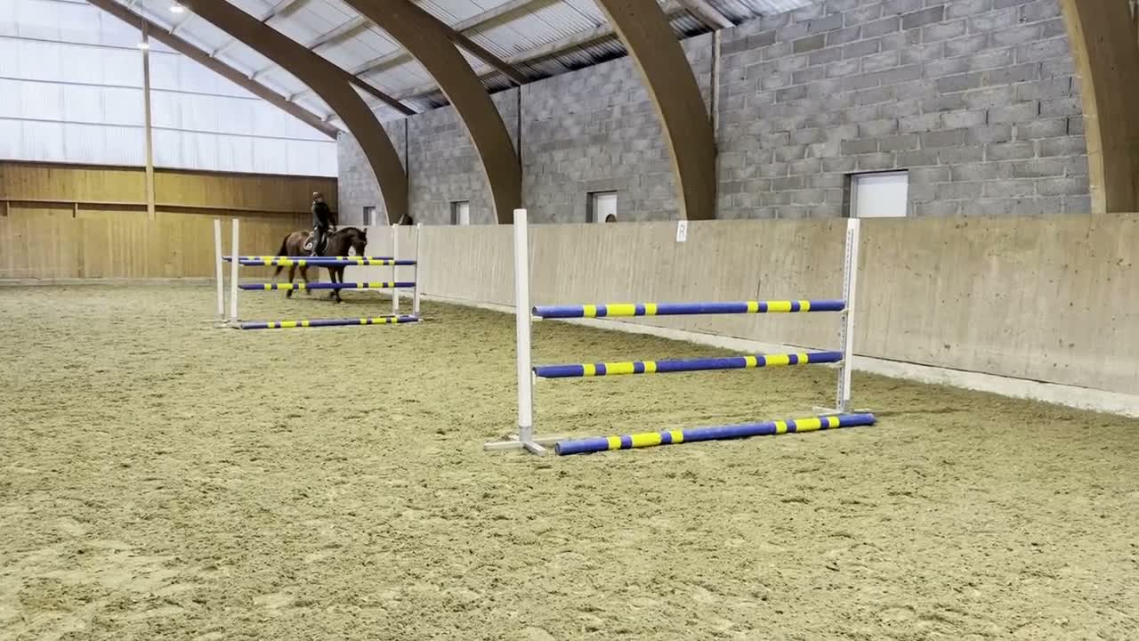 Hoppning hästar till salu: Stabil hopphäst - Video 2