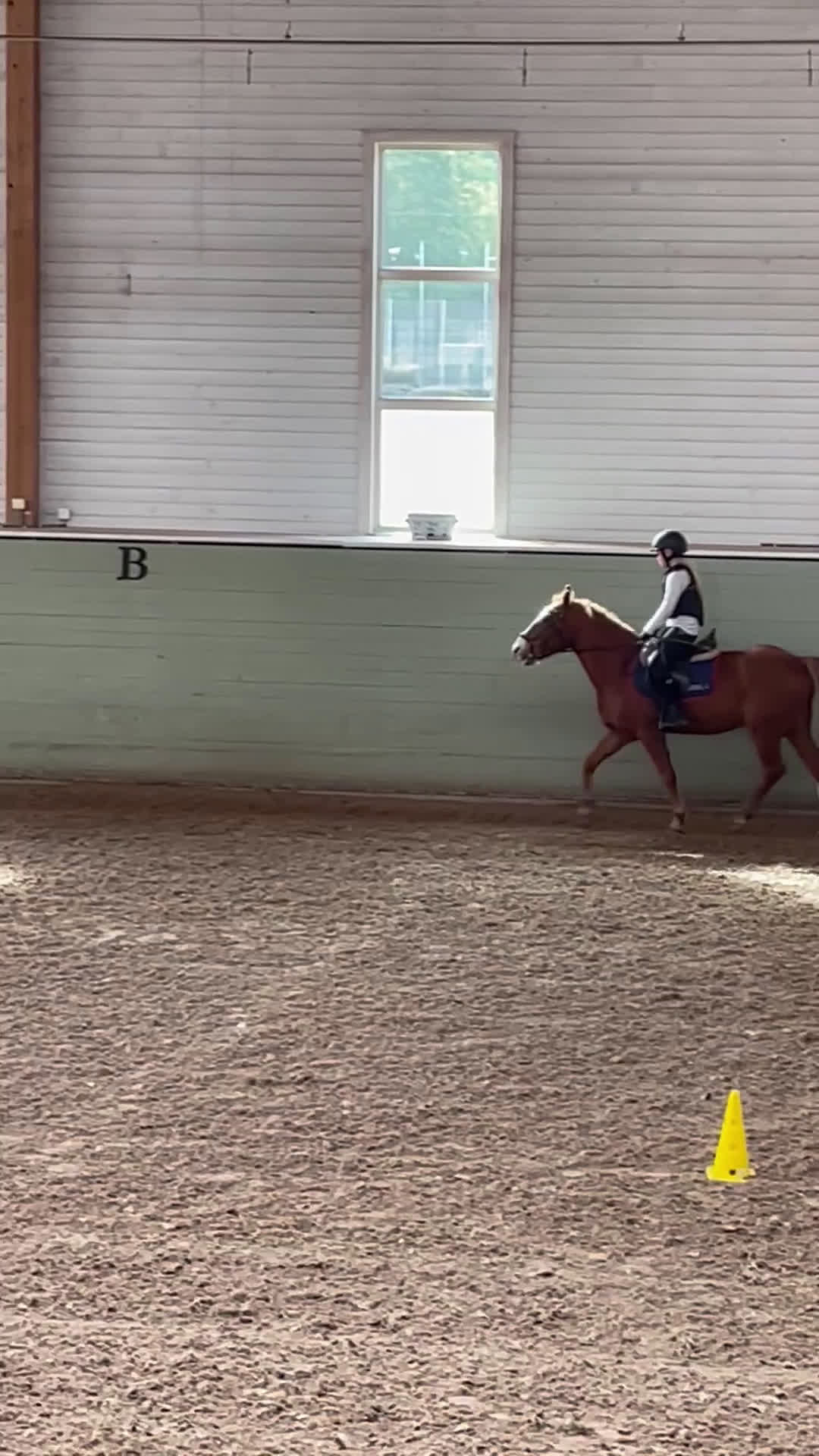  medryttarhäst sökes: Söker medryttarhäst! - Video 2