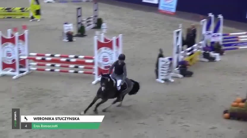 Allround hästar till salu: SM ponny i hoppning och fälttävlan till salu i Dösjebro - Video 4