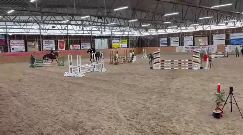 Hoppning hästar till salu: Högklassig Svart 4 årshingst - Video 2