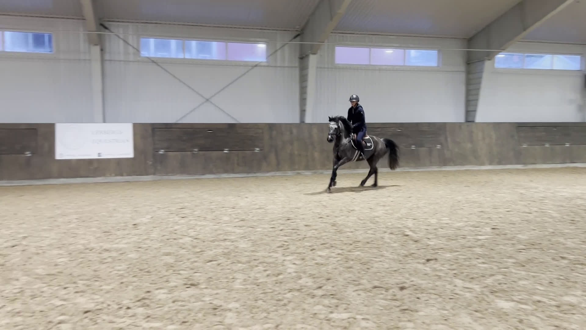 Hoppning hästar till salu: C-ponny med stort hopp och hög ridbarhet i Kungsbacka - Video 2