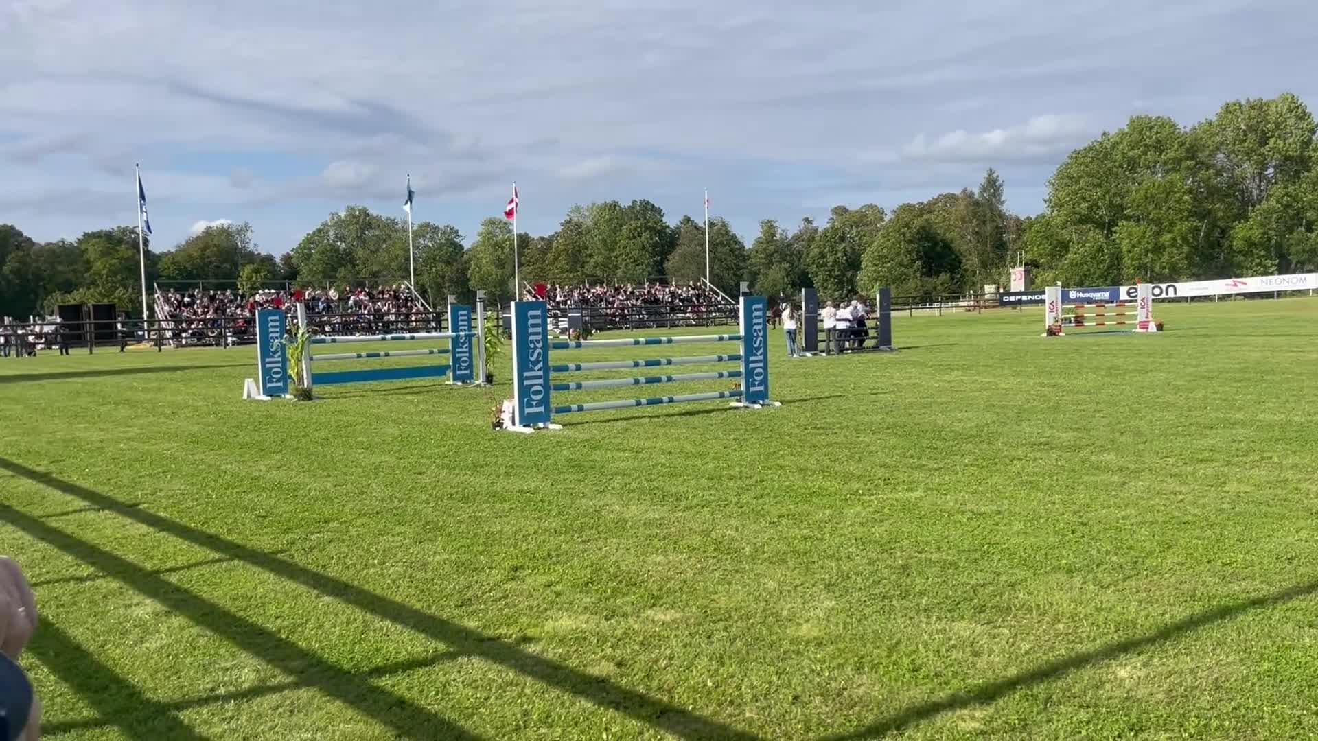 Allround hästar till salu: Allsidig tävlingskompis i Kil - Video 2