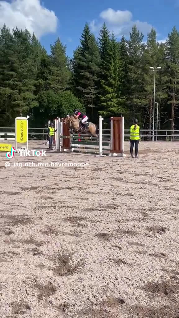 Hoppning hästar till salu: Underbart c-ponny sto  i Vikarbyn - Video 2