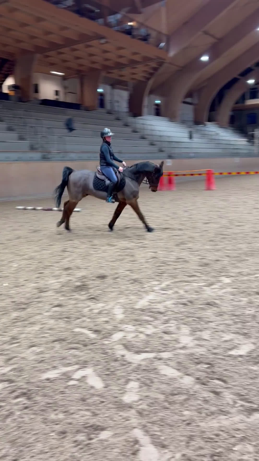 Allround hästar till salu: Bästa kompis🌸 i Svedala - Video 3