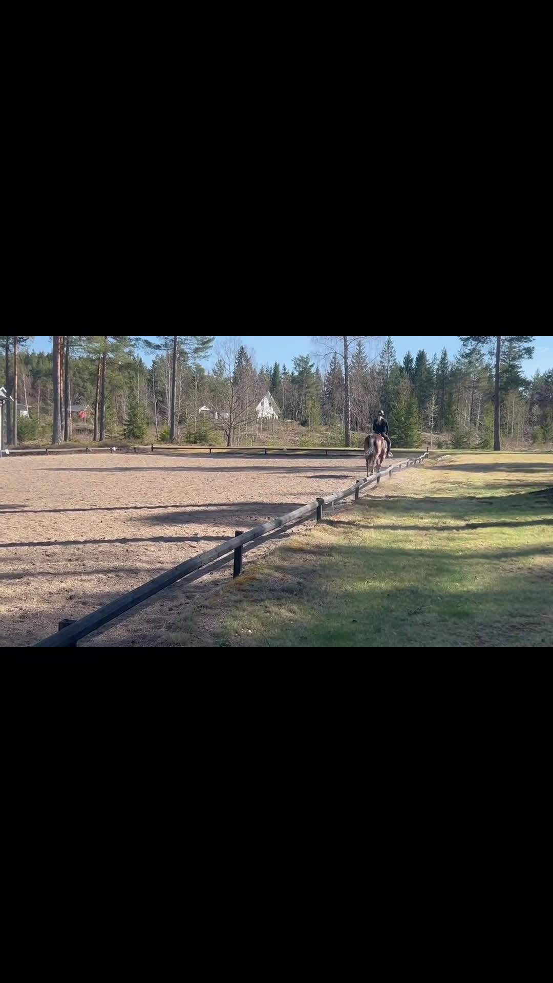 Dressyr hästar till salu: För dig som söker en bästa vän! i Norrköping - Video 1