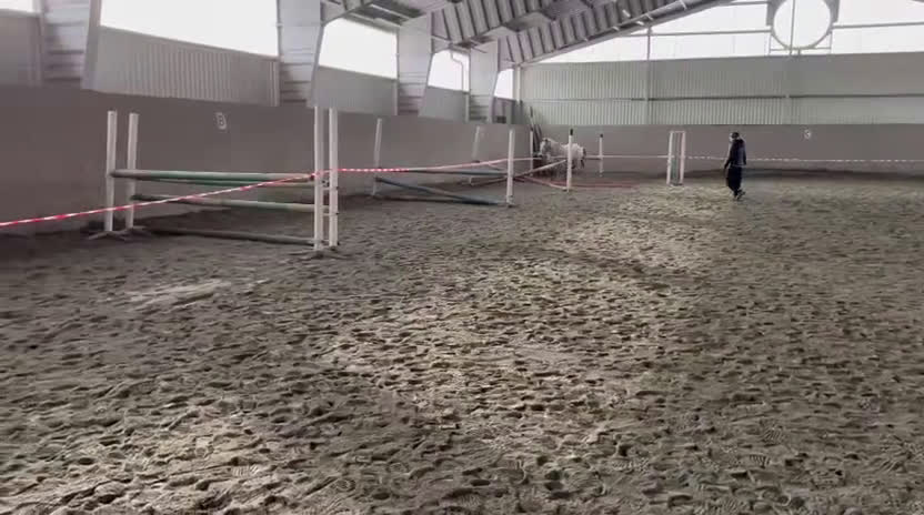 Allround hästar till salu: Trevlig ponny - Video 2