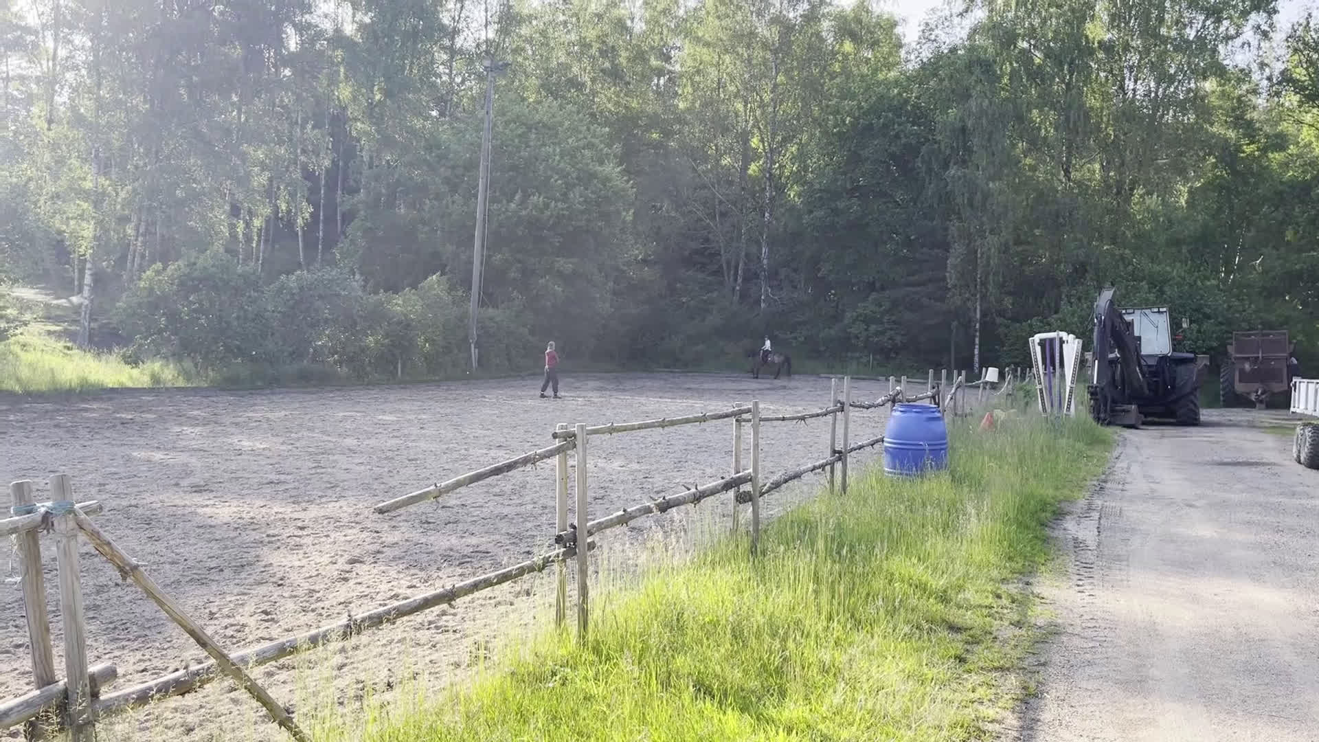 Allround hästar till salu: Läromästare  i Lindome - Video 3