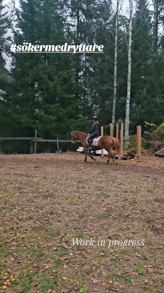 Allround hästar till salu: Intressekoll! Scilla söker sin nya lilla ryttare❤️ i Ljungsbro - Video 3