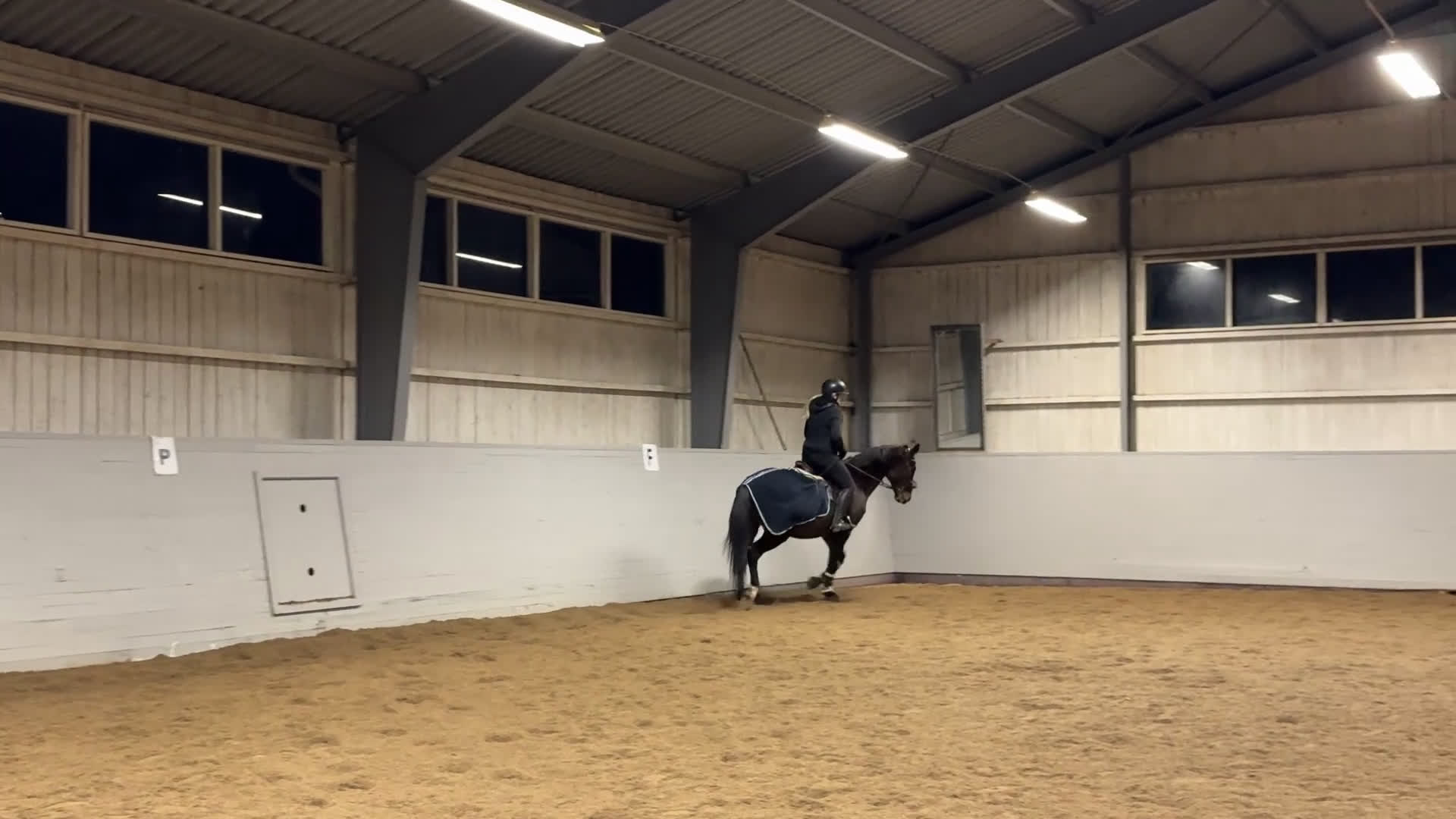 Allround hästar till salu: Perfekt allroundhäst i Vimmerby - Video 4