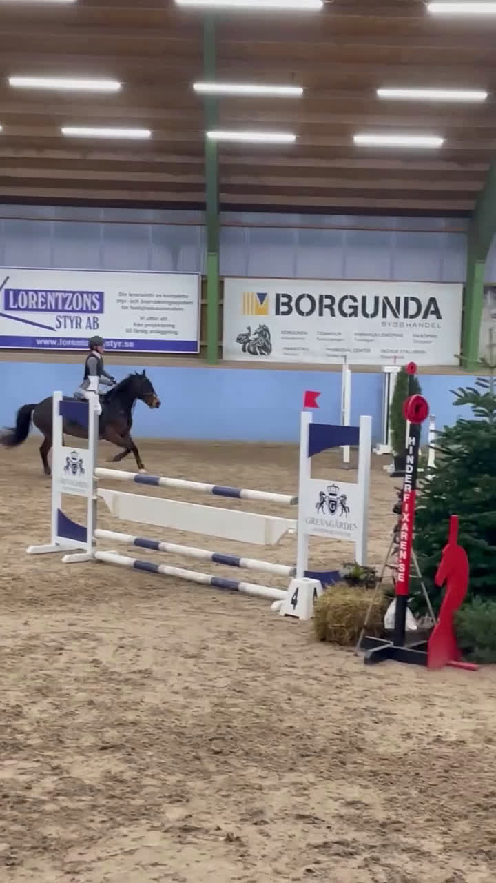 Hoppning hästar till salu: Mångsidig ponny med utstrålning!🌟 i Jörlanda - Video 1