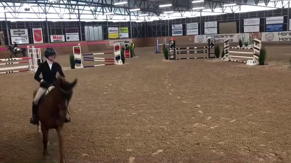 Hoppning hästar till salu: Ferrari söker ny förare! i Hunnebostrand - Video 4