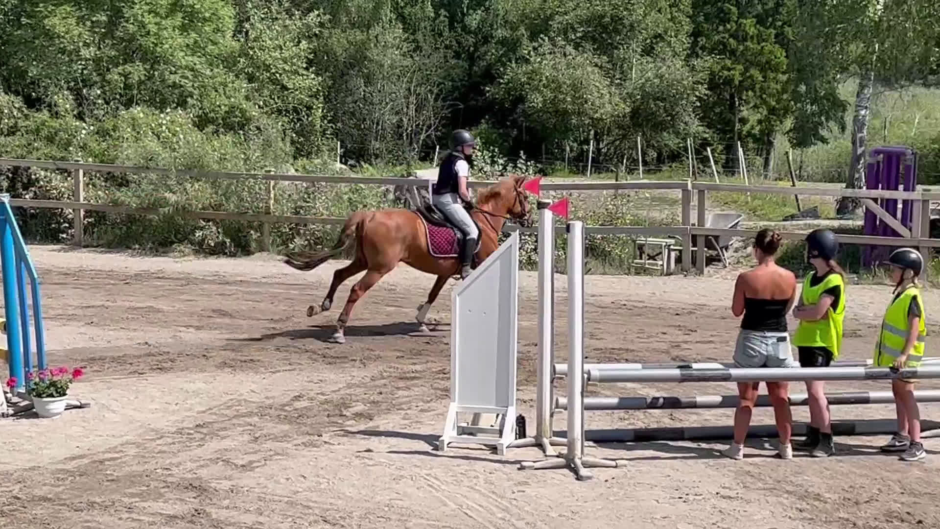 Allround hästar till salu: Allroundponny med stor personlighet❤️ i Huddinge - Video 1