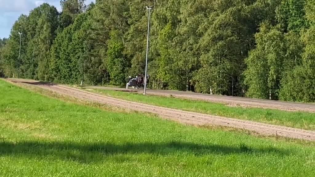 Trav hästar till salu: ⭐️Tillfälle⭐️ i Bengtsfors - Video 1