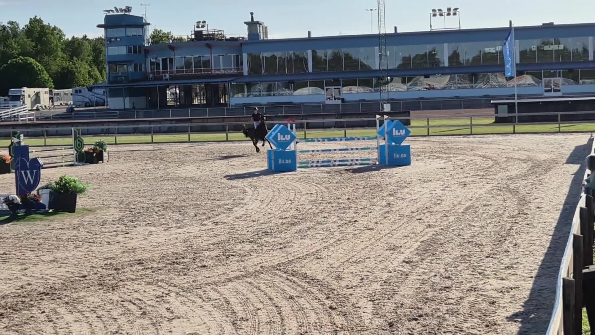Hoppning hästar till salu: 🌟Drömponny I Toppklass🌟 - Video 1