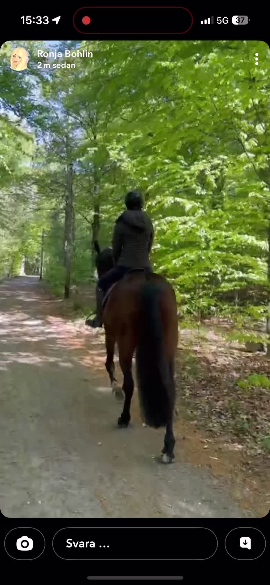 Allround hästar till salu: Charmig Valack med utvecklingpotential🦄⭐️ - Video 1