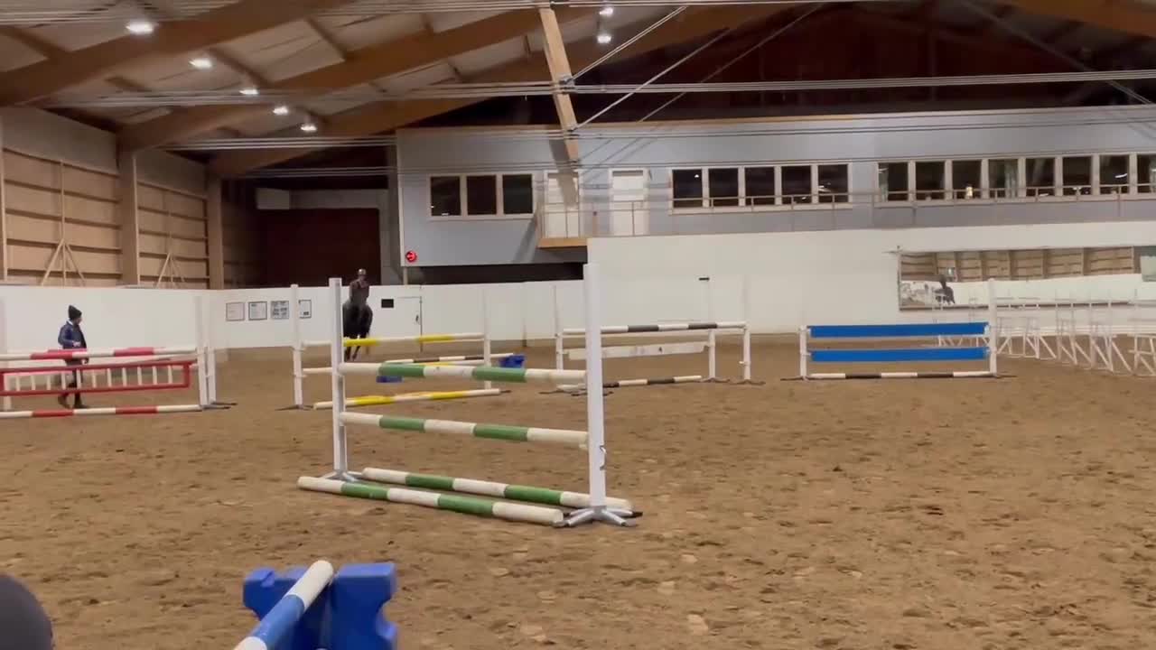 Allround hästar till salu: Pålitlig bästa vän  i Månsarp - Video 5