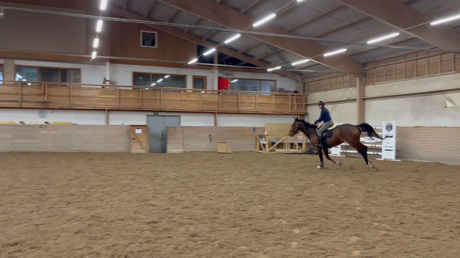 Hoppning hästar till salu: Stor valack till salu  i Kungsängen - Video 1