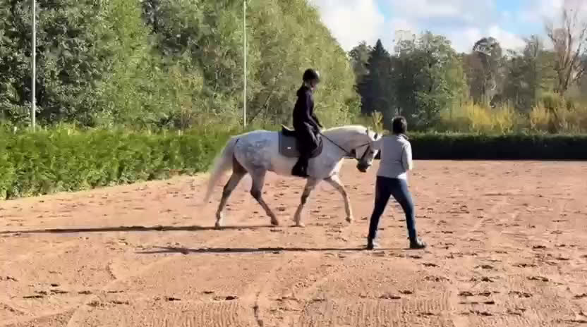 Hoppning hästar till salu: Ponnyn med extra allt💫 i Ulricehamn - Video 2