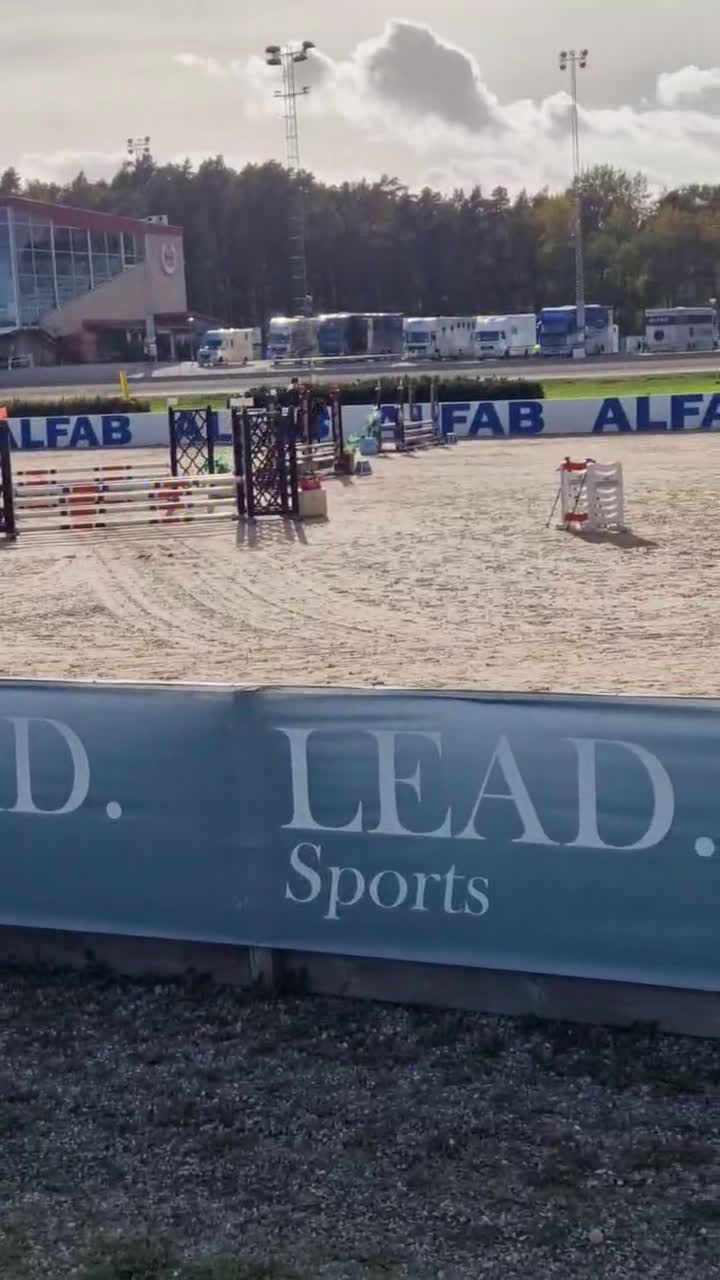 Hoppning hästar till salu: Allroundponny med utstrålning🐴 i Järvsö - Video 1