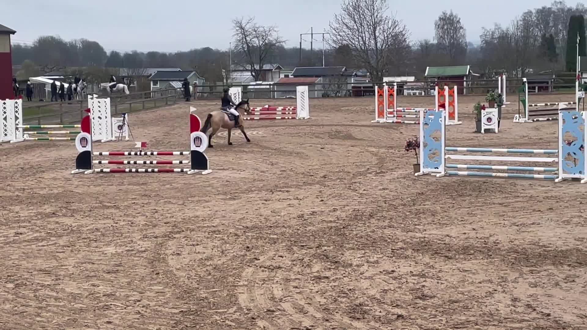 Allround hästar till salu: ⭐️Rutinerat d-ponnysto söker nytt hem⭐️ i Värsås - Video 2