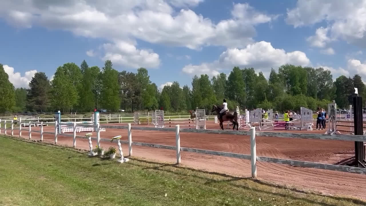 Hoppning hästar till salu: SWB valack i Orsa - Video 2