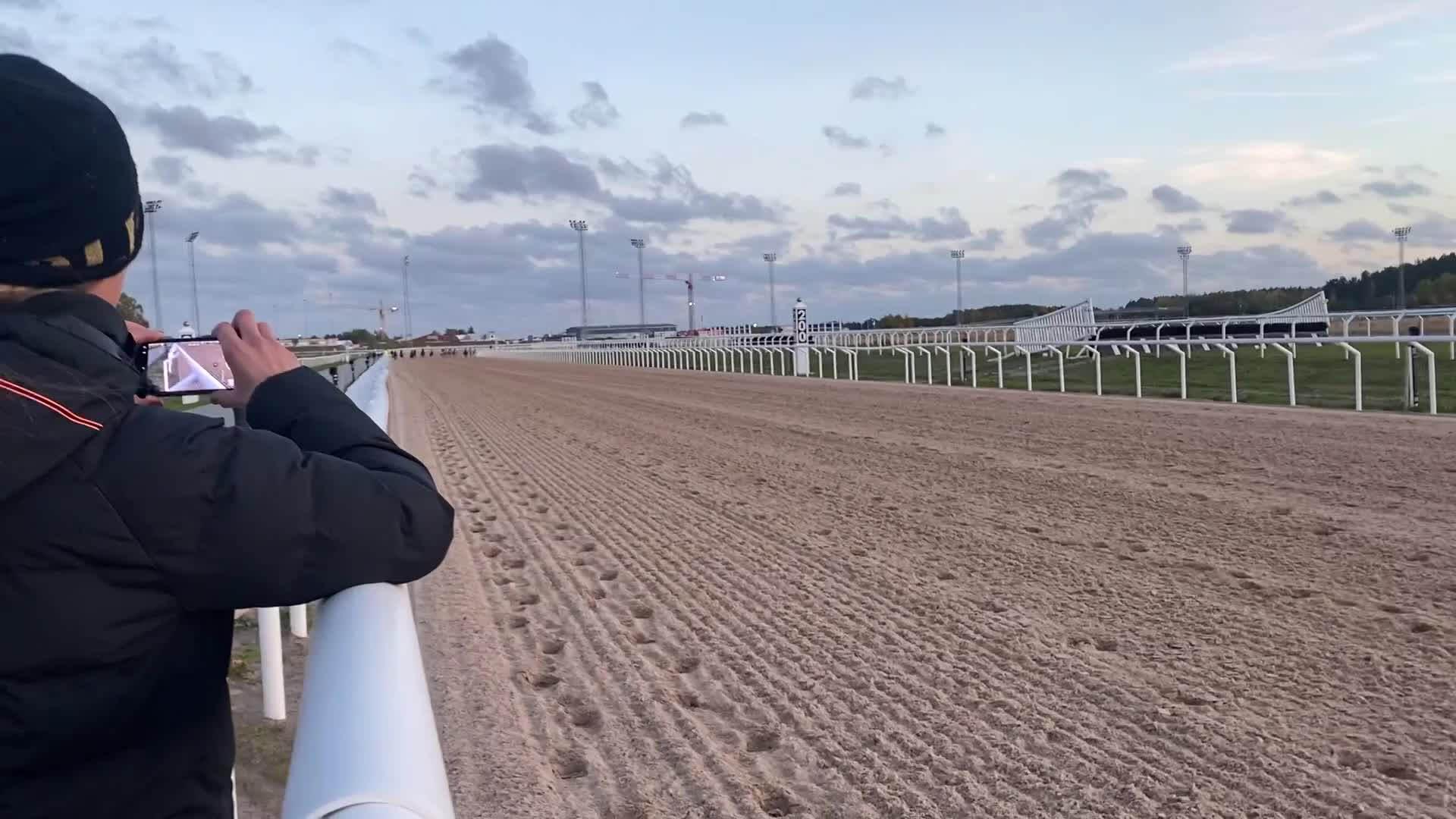 Galopp hästar till salu: Jättefin ponny för galoppbanorna  - Video 2