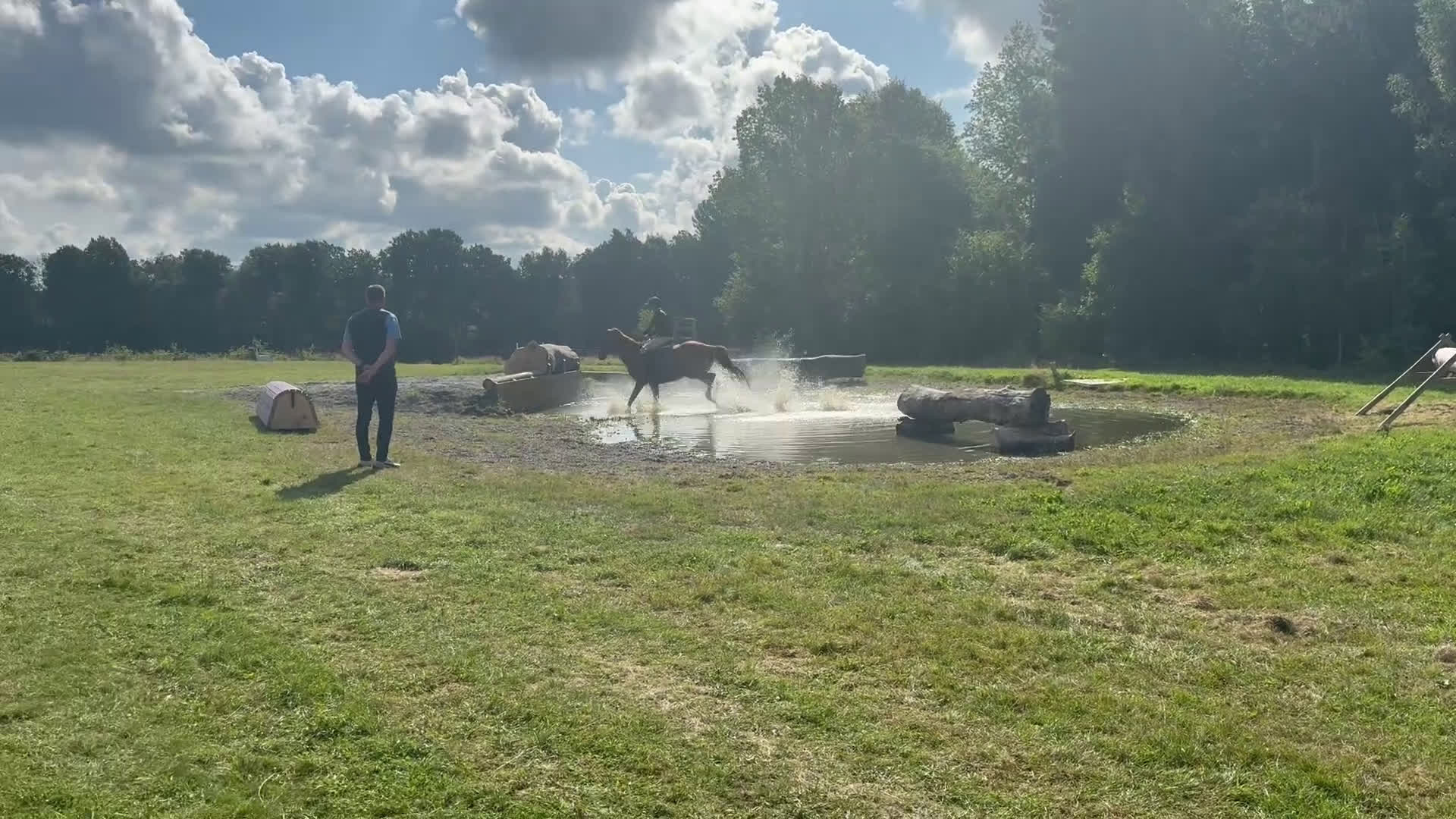 Allround hästar till salu: Fantastisk allroundhäst av lättare typ i Växjö - Video 4