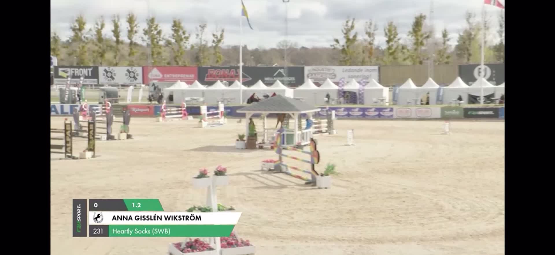 Hoppning hästar till salu: Hopphäst med potential - Video 1