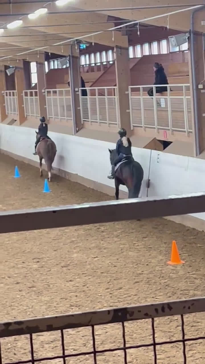  medryttarhäst sökes: Söker medryttarponnies!🩷 i Älvsjö - Video 1