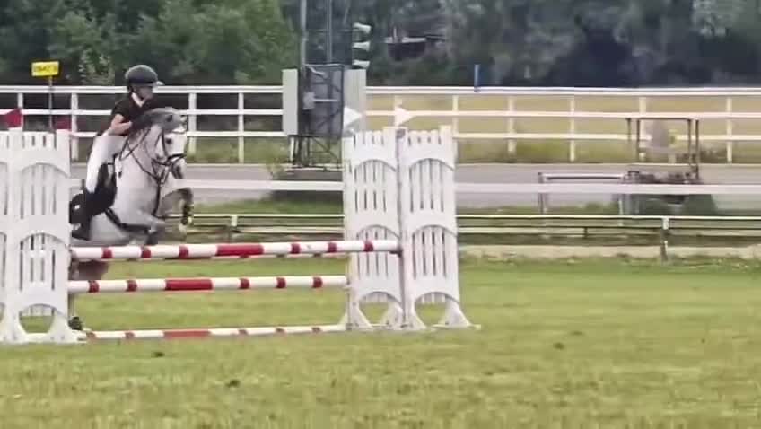 Hoppning hästar till salu: Competition B-Pony 127 cm i Rusko - Video 1